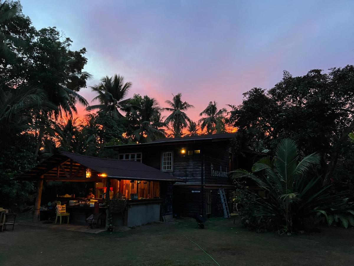 Peaceland Hostel Panglao Extérieur photo